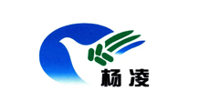 杨凌