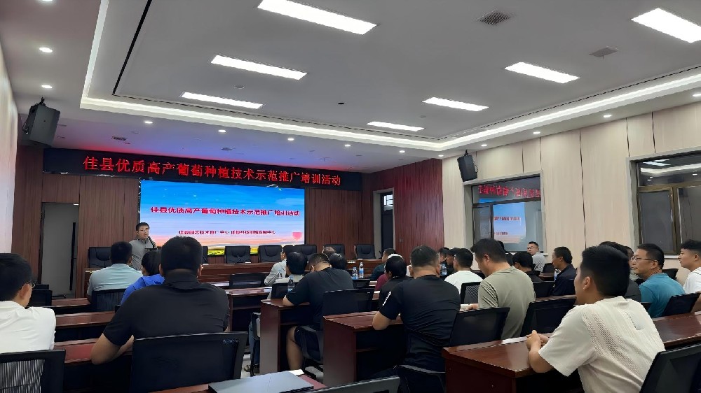 佳县葡萄技术培训走进圪崂湾村 “葡”写丰收密码